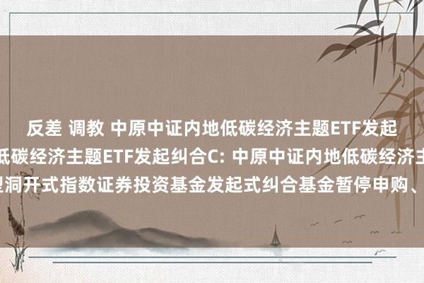 反差 调教 中原中证内地低碳经济主题ETF发起纠合A,中原中证内地低碳经济主题ETF发起纠合C: 中原中证内地低碳经济主题往返型洞开式指数证券投资基金发起式纠合基金暂停申购、诊疗转入及按期定额申购业务的公告