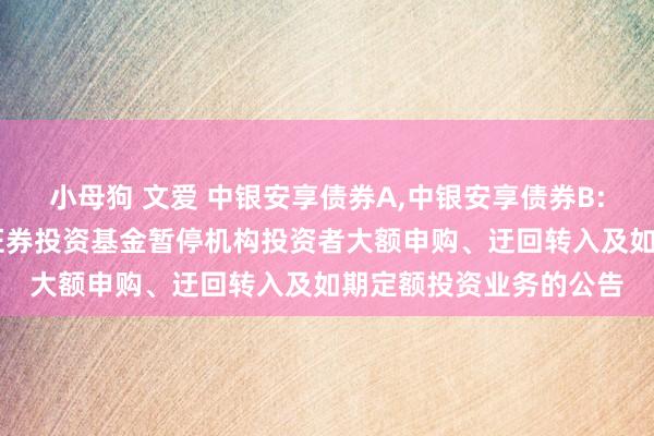 小母狗 文爱 中银安享债券A,中银安享债券B: 对于中银安享债券型证券投资基金暂停机构投资者大额申购、迂回转入及如期定额投资业务的公告