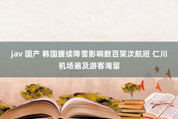jav 国产 韩国握续降雪影响数百架次航班 仁川机场遍及游客淹留