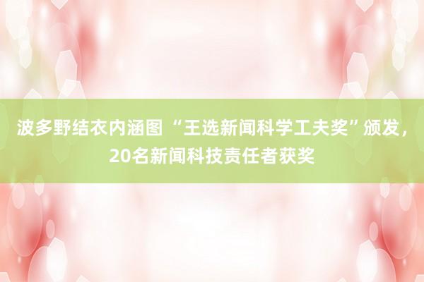 波多野结衣内涵图 “王选新闻科学工夫奖”颁发，20名新闻科技责任者获奖