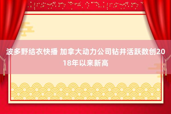 波多野结衣快播 加拿大动力公司钻井活跃数创2018年以来新高