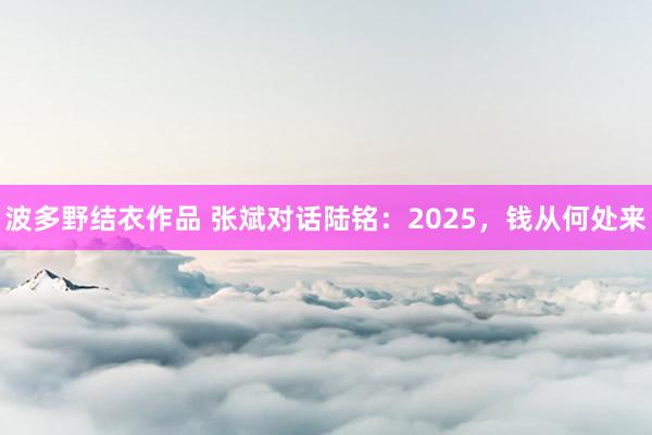 波多野结衣作品 张斌对话陆铭：2025，钱从何处来