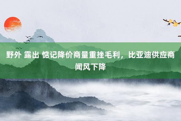 野外 露出 惦记降价商量重挫毛利，比亚迪供应商闻风下降