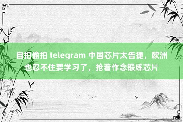 自拍偷拍 telegram 中国芯片太告捷，欧洲也忍不住要学习了，抢着作念锻练芯片