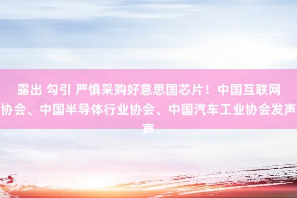 露出 勾引 严慎采购好意思国芯片！中国互联网协会、中国半导体行业协会、中国汽车工业协会发声