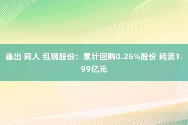 露出 同人 包钢股份：累计回购0.26%股份 耗资1.99亿元