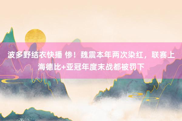 波多野结衣快播 惨！魏震本年两次染红，联赛上海德比+亚冠年度末战都被罚下