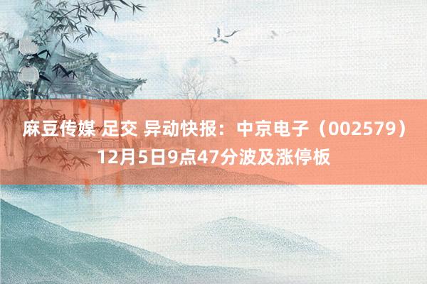 麻豆传媒 足交 异动快报:中京电子(002579)12月5日9点47分波及涨停板