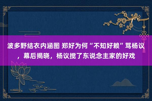 波多野结衣内涵图 郑好为何“不知好赖”骂杨议，幕后揭晓，杨议搅了东说念主家的好戏