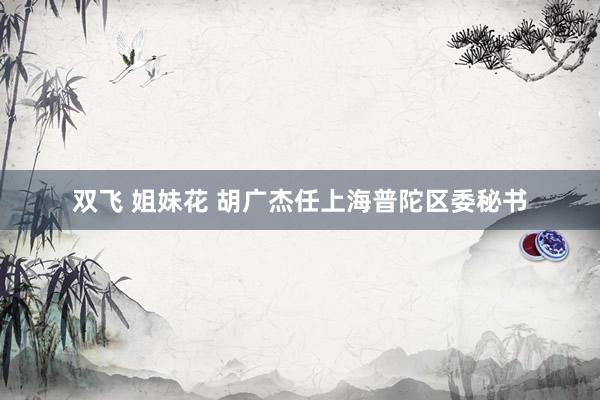 双飞 姐妹花 胡广杰任上海普陀区委秘书