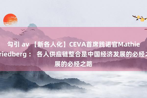 勾引 av 【新各人化】CEVA首席践诺官Mathieu Friedberg ： 各人供应链整合是中国经济发展的必经之路