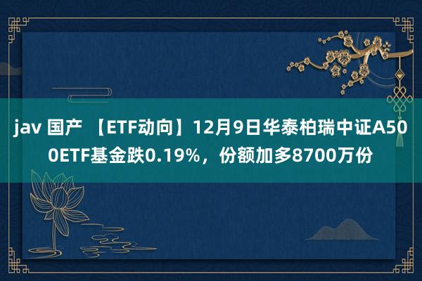 jav 国产 【ETF动向】12月9日华泰柏瑞中证A500ETF基金跌0.19%，份额加多8700万份