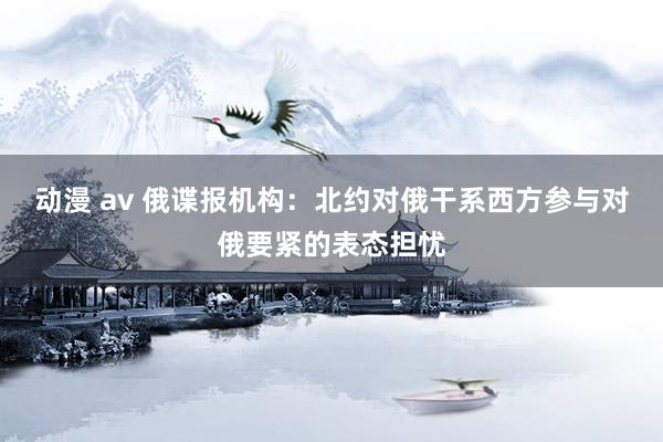 动漫 av 俄谍报机构：北约对俄干系西方参与对俄要紧的表态担忧