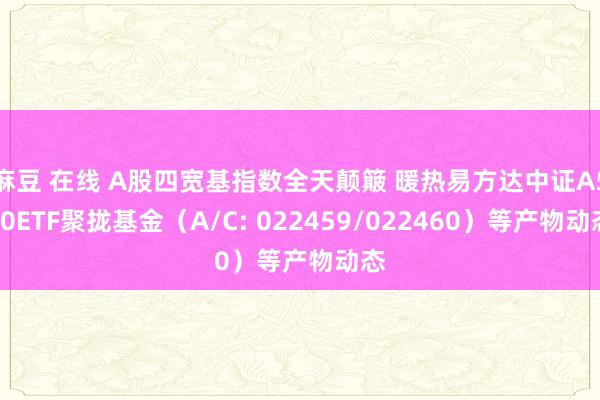 麻豆 在线 A股四宽基指数全天颠簸 暖热易方达中证A500ETF聚拢基金（A/C: 022459/022460）等产物动态