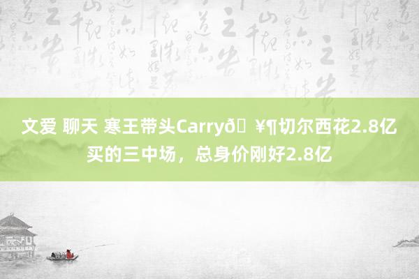 文爱 聊天 寒王带头Carry🥶切尔西花2.8亿买的三中场，总身价刚好2.8亿