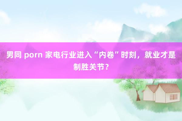 男同 porn 家电行业进入“内卷”时刻，就业才是制胜关节？