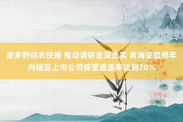 波多野结衣快播 推动调研走深走实 青海证监局年内辖区上市公司探望遮盖率达到70%