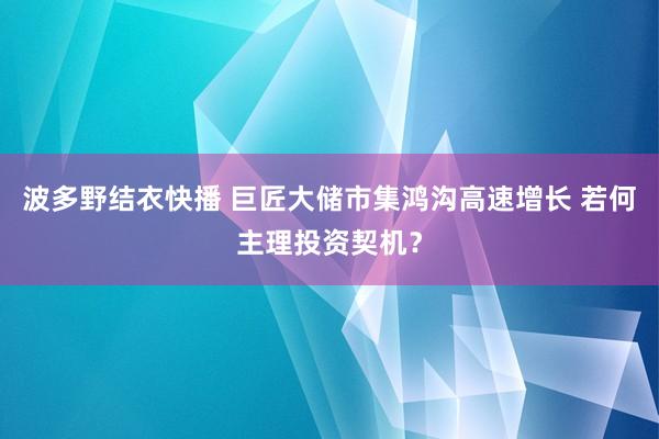 波多野结衣快播 巨匠大储市集鸿沟高速增长 若何主理投资契机？
