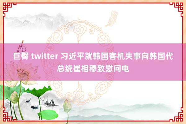 巨臀 twitter 习近平就韩国客机失事向韩国代总统崔相穆致慰问电