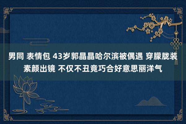 男同 表情包 43岁郭晶晶哈尔滨被偶遇 穿朦胧装素颜出镜 不仅不丑竟巧合好意思丽洋气