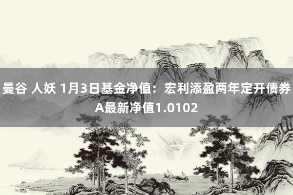曼谷 人妖 1月3日基金净值：宏利添盈两年定开债券A最新净值1.0102