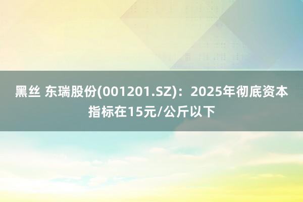 黑丝 东瑞股份(001201.SZ)：2025年彻底资本指标在15元/公斤以下