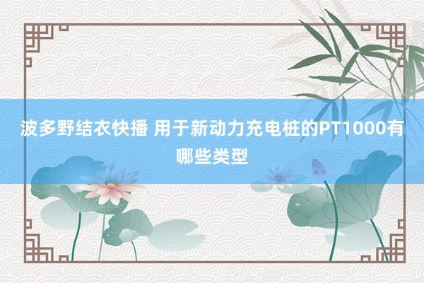 波多野结衣快播 用于新动力充电桩的PT1000有哪些类型
