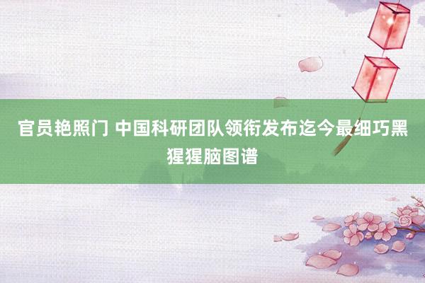官员艳照门 中国科研团队领衔发布迄今最细巧黑猩猩脑图谱