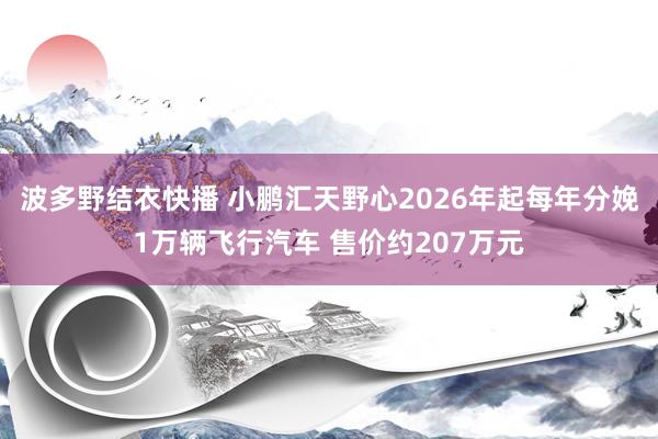 波多野结衣快播 小鹏汇天野心2026年起每年分娩1万辆飞行汽车 售价约207万元