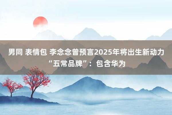 男同 表情包 李念念曾预言2025年将出生新动力“五常品牌”：包含华为