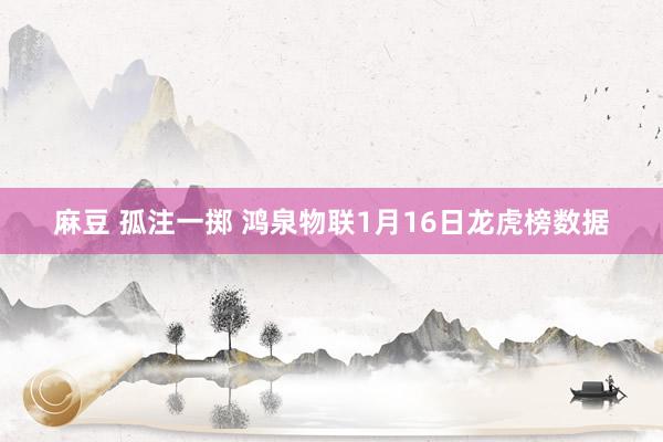 麻豆 孤注一掷 鸿泉物联1月16日龙虎榜数据