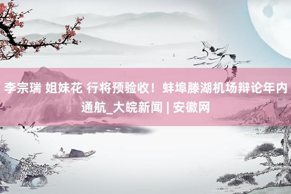 李宗瑞 姐妹花 行将预验收！蚌埠滕湖机场辩论年内通航_大皖新闻 | 安徽网