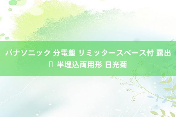 パナソニック 分電盤 リミッタースペース付 露出・半埋込両用形 日光菊