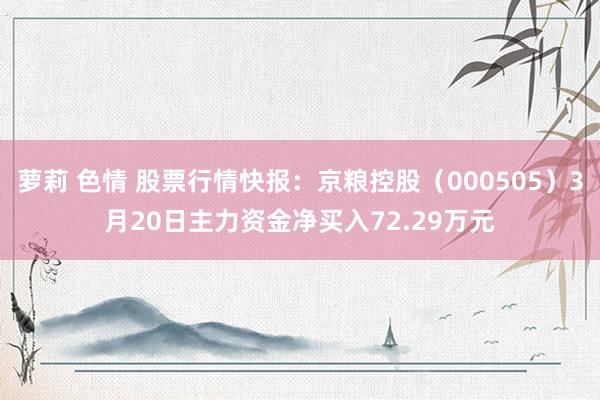 萝莉 色情 股票行情快报：京粮控股（000505）3月20日主力资金净买入72.29万元