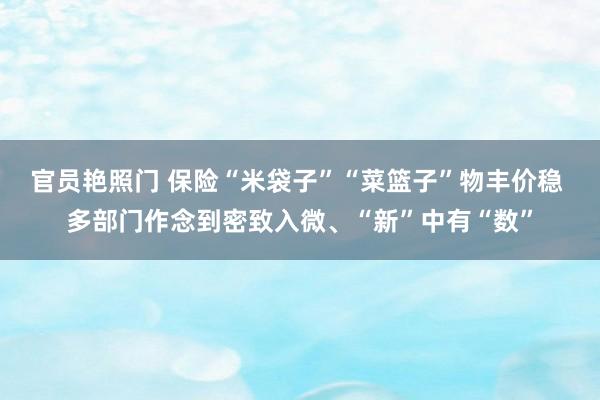 官员艳照门 保险“米袋子”“菜篮子”物丰价稳 多部门作念到密致入微、“新”中有“数”