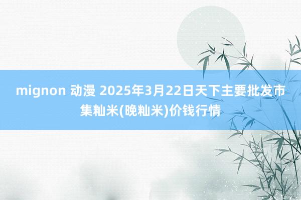 mignon 动漫 2025年3月22日天下主要批发市集籼米(晚籼米)价钱行情