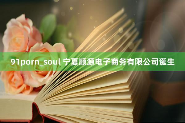91porn_soul 宁夏顺源电子商务有限公司诞生