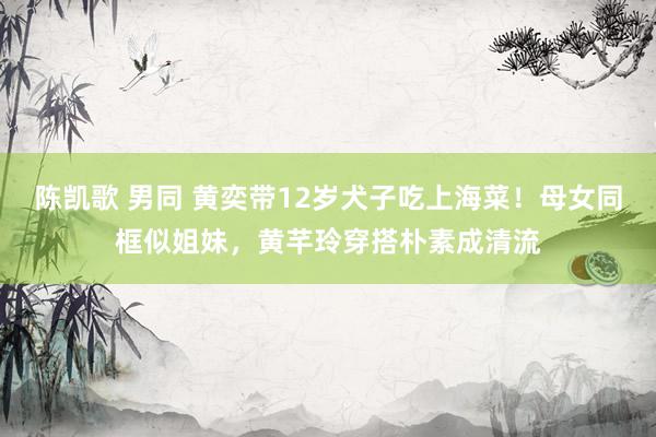 陈凯歌 男同 黄奕带12岁犬子吃上海菜！母女同框似姐妹，黄芊玲穿搭朴素成清流