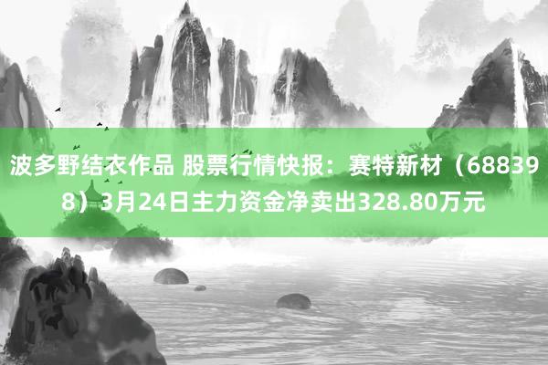 波多野结衣作品 股票行情快报：赛特新材（688398）3月24日主力资金净卖出328.80万元