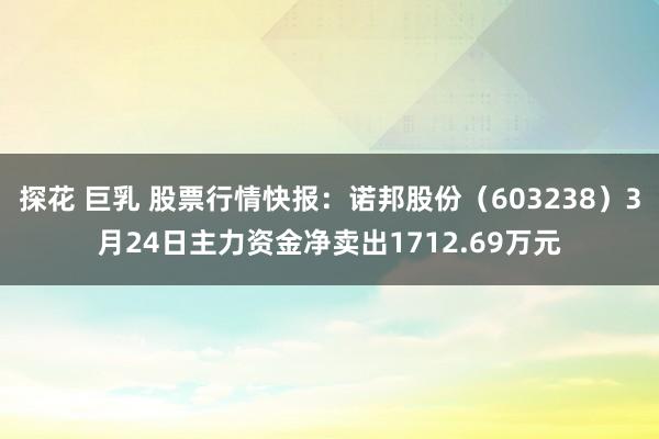 探花 巨乳 股票行情快报：诺邦股份（603238）3月24日主力资金净卖出1712.69万元