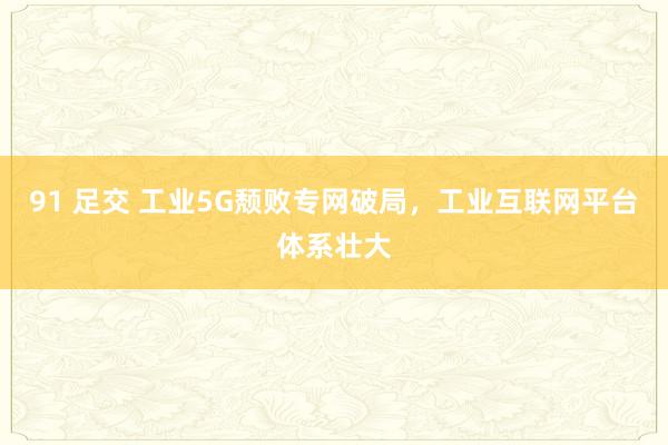 91 足交 工业5G颓败专网破局，工业互联网平台体系壮大