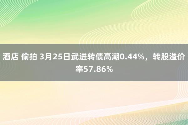 酒店 偷拍 3月25日武进转债高潮0.44%，转股溢价率57.86%
