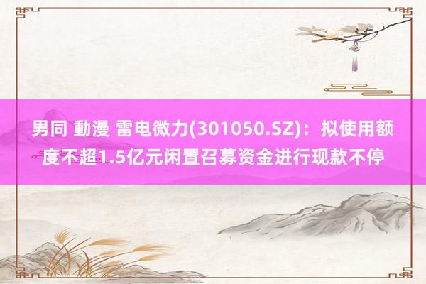 男同 動漫 雷电微力(301050.SZ)：拟使用额度不超1.5亿元闲置召募资金进行现款不停