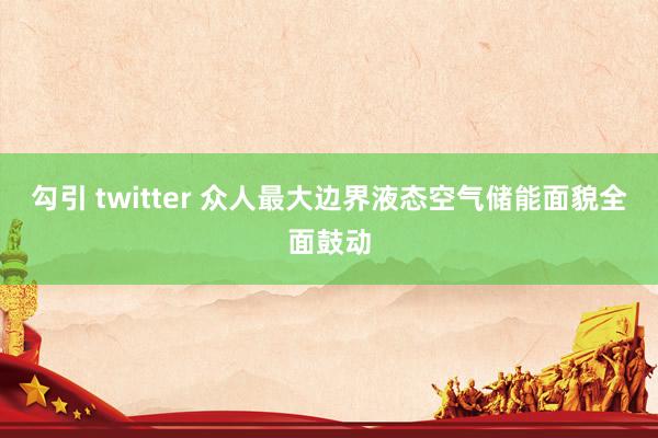 勾引 twitter 众人最大边界液态空气储能面貌全面鼓动
