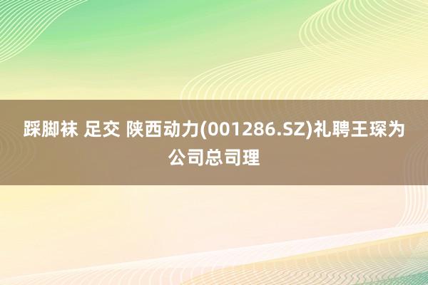 踩脚袜 足交 陕西动力(001286.SZ)礼聘王琛为公司总司理