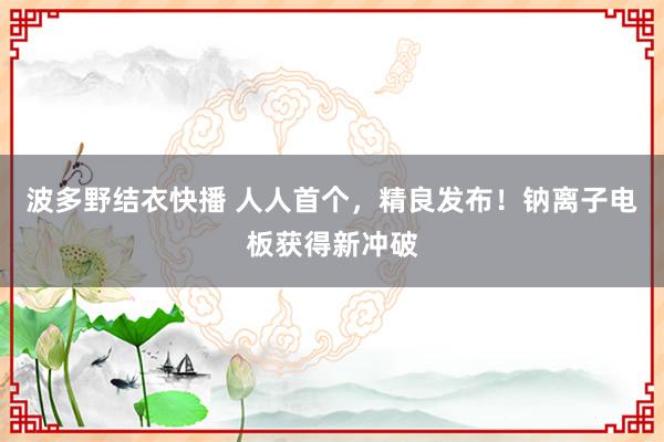波多野结衣快播 人人首个，精良发布！钠离子电板获得新冲破