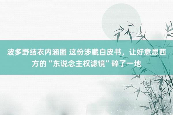 波多野结衣内涵图 这份涉藏白皮书，让好意思西方的“东说念主权滤镜”碎了一地