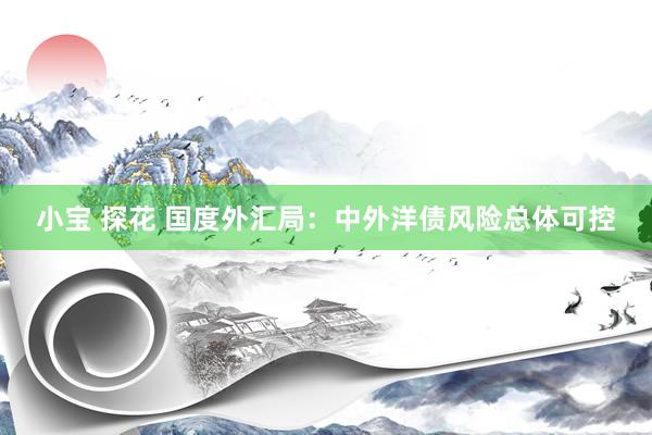 小宝 探花 国度外汇局：中外洋债风险总体可控