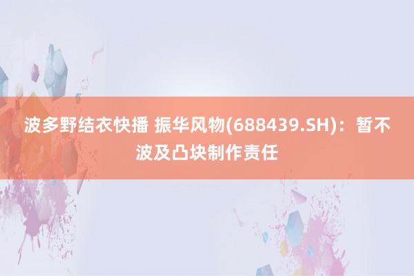 波多野结衣快播 振华风物(688439.SH)：暂不波及凸块制作责任