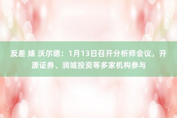 反差 婊 沃尔德：1月13日召开分析师会议，开源证券、润城投资等多家机构参与